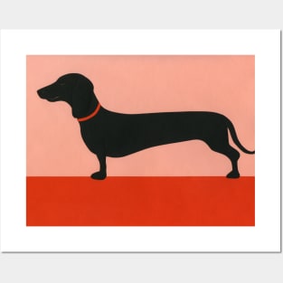 Dachshund Rosi Posters and Art